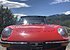 1972 Alfa Romeo Spider Quadrifoglio for sale 101330299